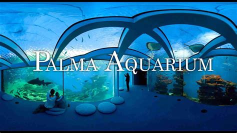 The Aquarium of the Balearic Islands .